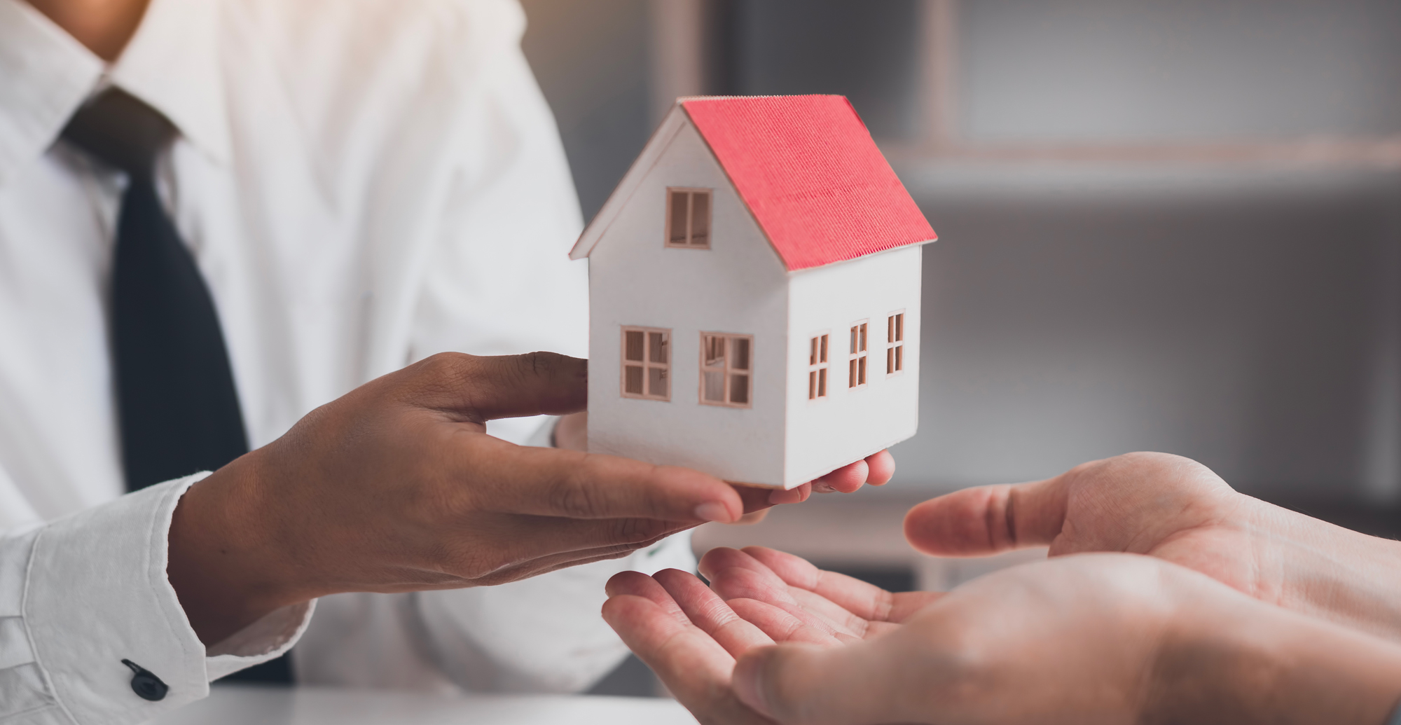 Spoludlužník Spoludlužník